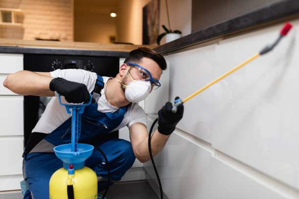 Best Commercial Pest Control Services  in Thunder Mountain, NM