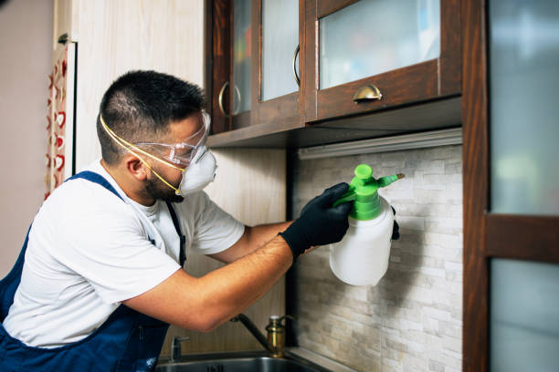 Best Pest Inspection Near Me  in Thunder Mountain, NM