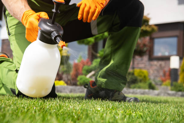 Best Wildlife Control Services  in Thunder Mountain, NM