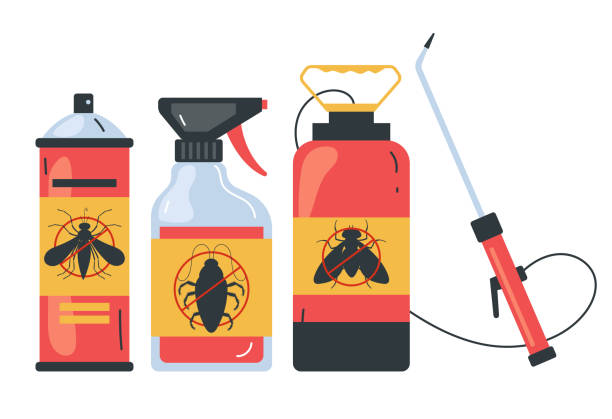 Best Affordable Pest Control Services  in Thunder Mountain, NM