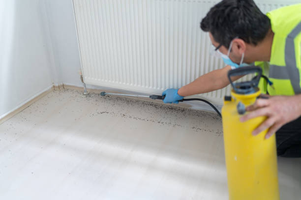 Best Exterminator Services  in Thunder Mountain, NM