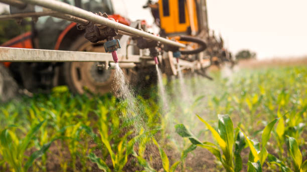 Best Commercial Pest Control Services  in Thunder Mountain, NM